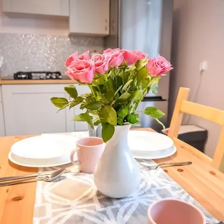 Apartament Stachonie